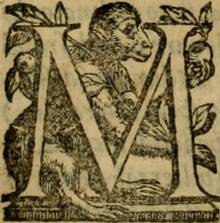 An illustration from L'historia ecclesiastica della rivolvzion d'Inghilterra : divisa in libri qvattro, ne' qvali si tratta di qvello ch'e avvenvto in quell'isola, da chè Arrigo Ottauo cominciò à pensare di ripudiar Caterina sua legittima moglie, infino à quest'vltimi anni di Lisabetta, vltima sua figliuola, 1594, leaf 578
