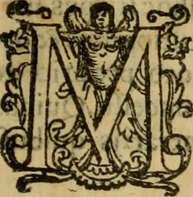 An illustration from L'historia ecclesiastica della rivolvzion d'Inghilterra : divisa in libri qvattro, ne' qvali si tratta di qvello ch'e avvenvto in quell'isola, da chè Arrigo Ottauo cominciò à pensare di ripudiar Caterina sua legittima moglie, infino à quest'vltimi anni di Lisabetta, vltima sua figliuola, 1594, leaf 6