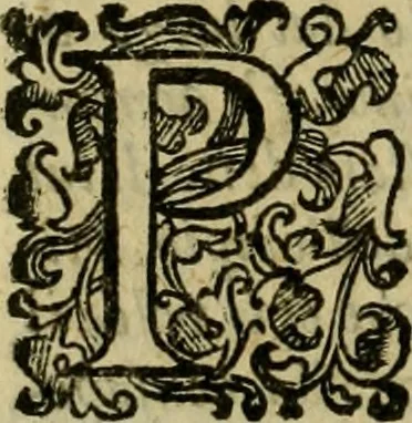 An illustration from L'historia ecclesiastica della rivolvzion d'Inghilterra : divisa in libri qvattro, ne' qvali si tratta di qvello ch'e avvenvto in quell'isola, da chè Arrigo Ottauo cominciò à pensare di ripudiar Caterina sua legittima moglie, infino à quest'vltimi anni di Lisabetta, vltima sua figliuola, 1594, leaf 613