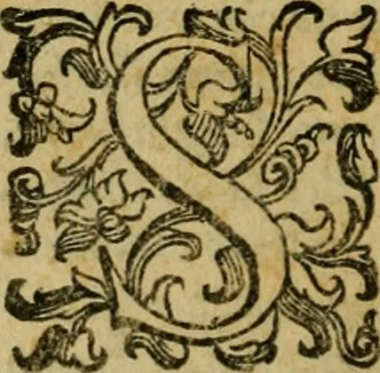 An illustration from L'historia ecclesiastica della rivolvzion d'Inghilterra : divisa in libri qvattro, ne' qvali si tratta di qvello ch'e avvenvto in quell'isola, da chè Arrigo Ottauo cominciò à pensare di ripudiar Caterina sua legittima moglie, infino à quest'vltimi anni di Lisabetta, vltima sua figliuola, 1594, leaf 635