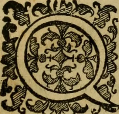 An illustration from L'historia ecclesiastica della rivolvzion d'Inghilterra : divisa in libri qvattro, ne' qvali si tratta di qvello ch'e avvenvto in quell'isola, da chè Arrigo Ottauo cominciò à pensare di ripudiar Caterina sua legittima moglie, infino à quest'vltimi anni di Lisabetta, vltima sua figliuola, 1594, leaf 666