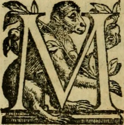 An illustration from L'historia ecclesiastica della rivolvzion d'Inghilterra : divisa in libri qvattro, ne' qvali si tratta di qvello ch'e avvenvto in quell'isola, da chè Arrigo Ottauo cominciò à pensare di ripudiar Caterina sua legittima moglie, infino à quest'vltimi anni di Lisabetta, vltima sua figliuola, 1594, leaf 725