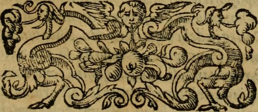 An illustration from L'historia ecclesiastica della rivolvzion d'Inghilterra : divisa in libri qvattro, ne' qvali si tratta di qvello ch'e avvenvto in quell'isola, da chè Arrigo Ottauo cominciò à pensare di ripudiar Caterina sua legittima moglie, infino à quest'vltimi anni di Lisabetta, vltima sua figliuola, 1594, leaf 732