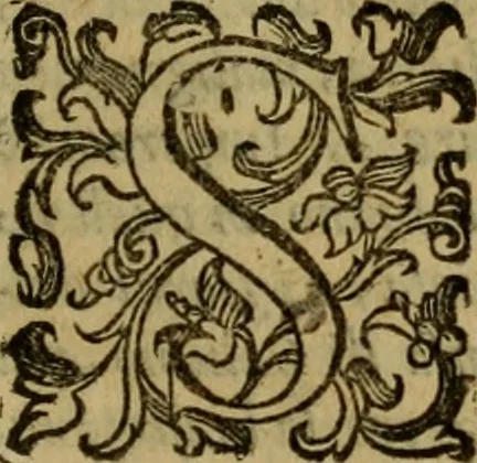 An illustration from L'historia ecclesiastica della rivolvzion d'Inghilterra : divisa in libri qvattro, ne' qvali si tratta di qvello ch'e avvenvto in quell'isola, da chè Arrigo Ottauo cominciò à pensare di ripudiar Caterina sua legittima moglie, infino à quest'vltimi anni di Lisabetta, vltima sua figliuola, 1594, leaf 742