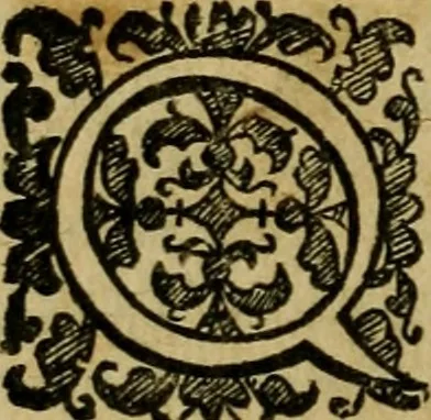 An illustration from L'historia ecclesiastica della rivolvzion d'Inghilterra : divisa in libri qvattro, ne' qvali si tratta di qvello ch'e avvenvto in quell'isola, da chè Arrigo Ottauo cominciò à pensare di ripudiar Caterina sua legittima moglie, infino à quest'vltimi anni di Lisabetta, vltima sua figliuola, 1594, leaf 763