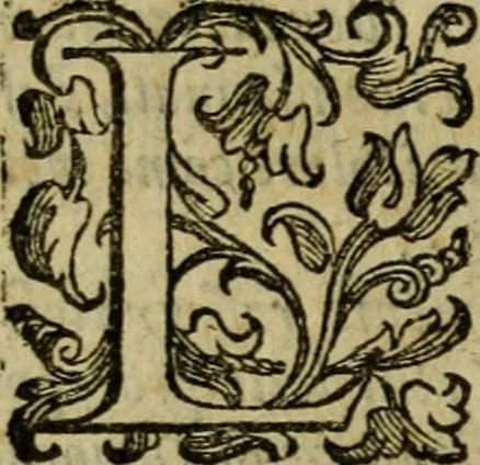 An illustration from L'historia ecclesiastica della rivolvzion d'Inghilterra : divisa in libri qvattro, ne' qvali si tratta di qvello ch'e avvenvto in quell'isola, da chè Arrigo Ottauo cominciò à pensare di ripudiar Caterina sua legittima moglie, infino à quest'vltimi anni di Lisabetta, vltima sua figliuola, 1594, leaf 781