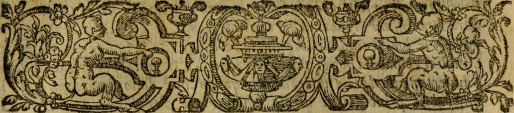 An illustration from L'historia ecclesiastica della rivolvzion d'Inghilterra : divisa in libri qvattro, ne' qvali si tratta di qvello ch'e avvenvto in quell'isola, da chè Arrigo Ottauo cominciò à pensare di ripudiar Caterina sua legittima moglie, infino à quest'vltimi anni di Lisabetta, vltima sua figliuola, 1594, leaf 782