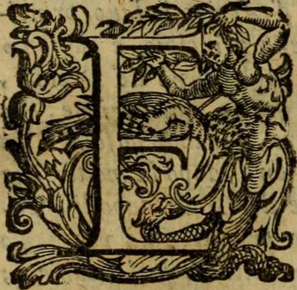 An illustration from L'historia ecclesiastica della rivolvzion d'Inghilterra : divisa in libri qvattro, ne' qvali si tratta di qvello ch'e avvenvto in quell'isola, da chè Arrigo Ottauo cominciò à pensare di ripudiar Caterina sua legittima moglie, infino à quest'vltimi anni di Lisabetta, vltima sua figliuola, 1594, leaf 782