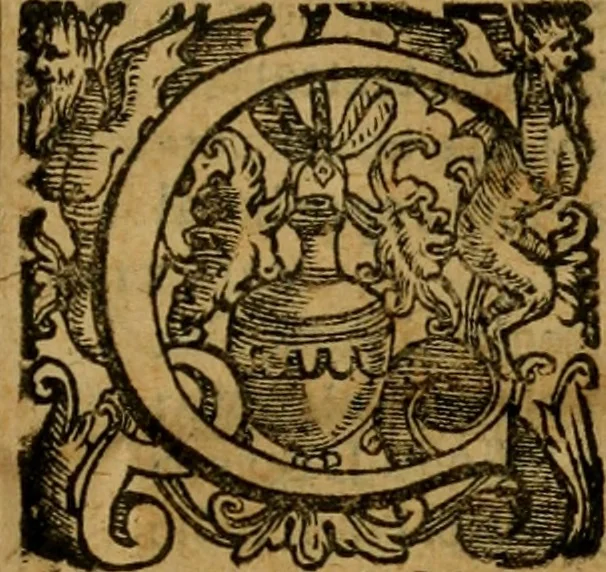 An illustration from L'historia ecclesiastica della rivolvzion d'Inghilterra : divisa in libri qvattro, ne' qvali si tratta di qvello ch'e avvenvto in quell'isola, da chè Arrigo Ottauo cominciò à pensare di ripudiar Caterina sua legittima moglie, infino à quest'vltimi anni di Lisabetta, vltima sua figliuola, 1594, leaf 796