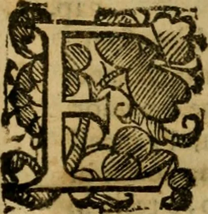 An illustration from L'historia ecclesiastica della rivolvzion d'Inghilterra : divisa in libri qvattro, ne' qvali si tratta di qvello ch'e avvenvto in quell'isola, da chè Arrigo Ottauo cominciò à pensare di ripudiar Caterina sua legittima moglie, infino à quest'vltimi anni di Lisabetta, vltima sua figliuola, 1594, leaf 802
