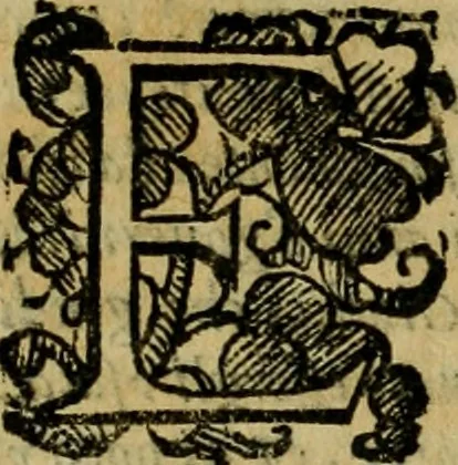 An illustration from L'historia ecclesiastica della rivolvzion d'Inghilterra : divisa in libri qvattro, ne' qvali si tratta di qvello ch'e avvenvto in quell'isola, da chè Arrigo Ottauo cominciò à pensare di ripudiar Caterina sua legittima moglie, infino à quest'vltimi anni di Lisabetta, vltima sua figliuola, 1594, leaf 81