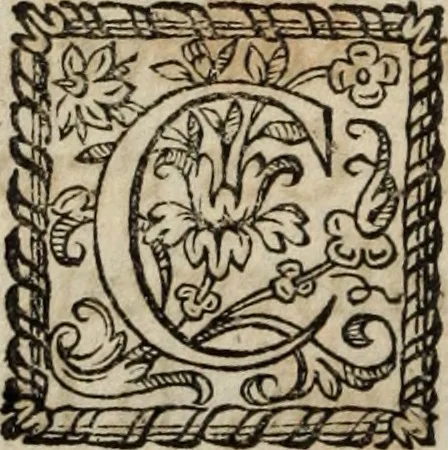 An illustration from L'Homme chrestien, ou, La reparation de la nature par la grace, 1663, leaf 361