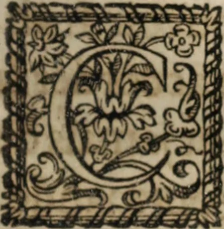 An illustration from L'Homme chrestien, ou, La reparation de la nature par la grace, 1663, leaf 406