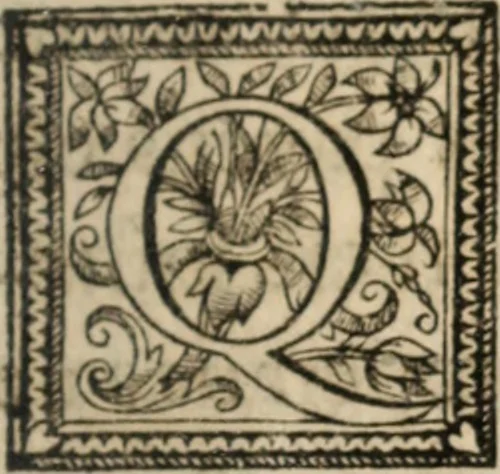 An illustration from L'Homme chrestien, ou, La reparation de la nature par la grace, 1663, leaf 532