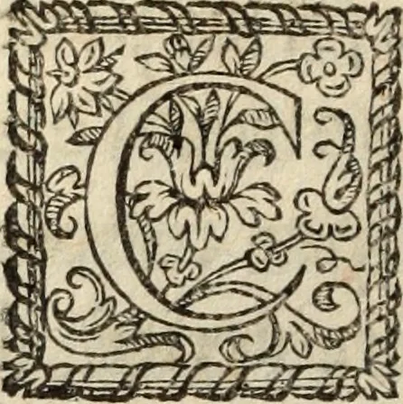 An illustration from L'Homme chrestien, ou, La reparation de la nature par la grace, 1663, leaf 797