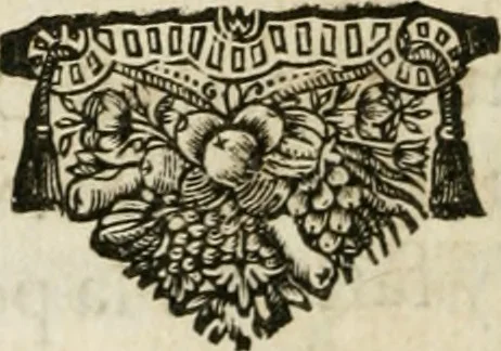An illustration from L'homme, et la formation du foetus, 1677, leaf 105