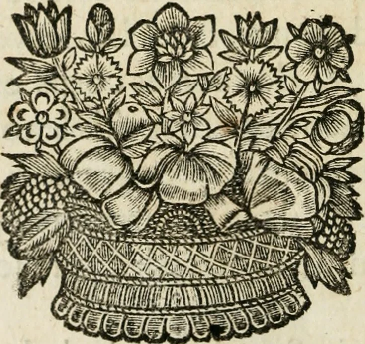 An illustration from L'homme, et la formation du foetus, 1677, leaf 107