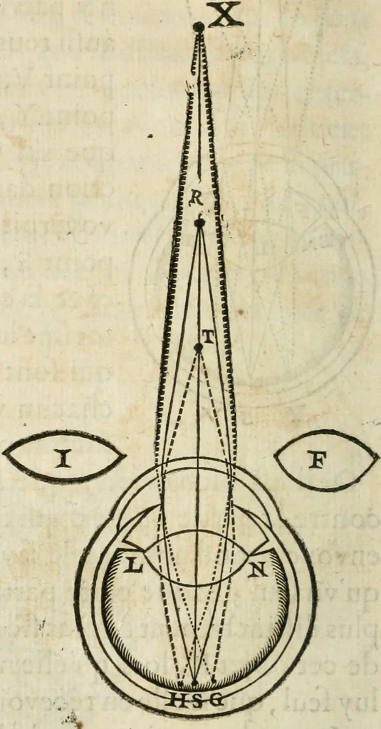 An illustration from L'homme, et la formation du foetus, 1677, leaf 109
