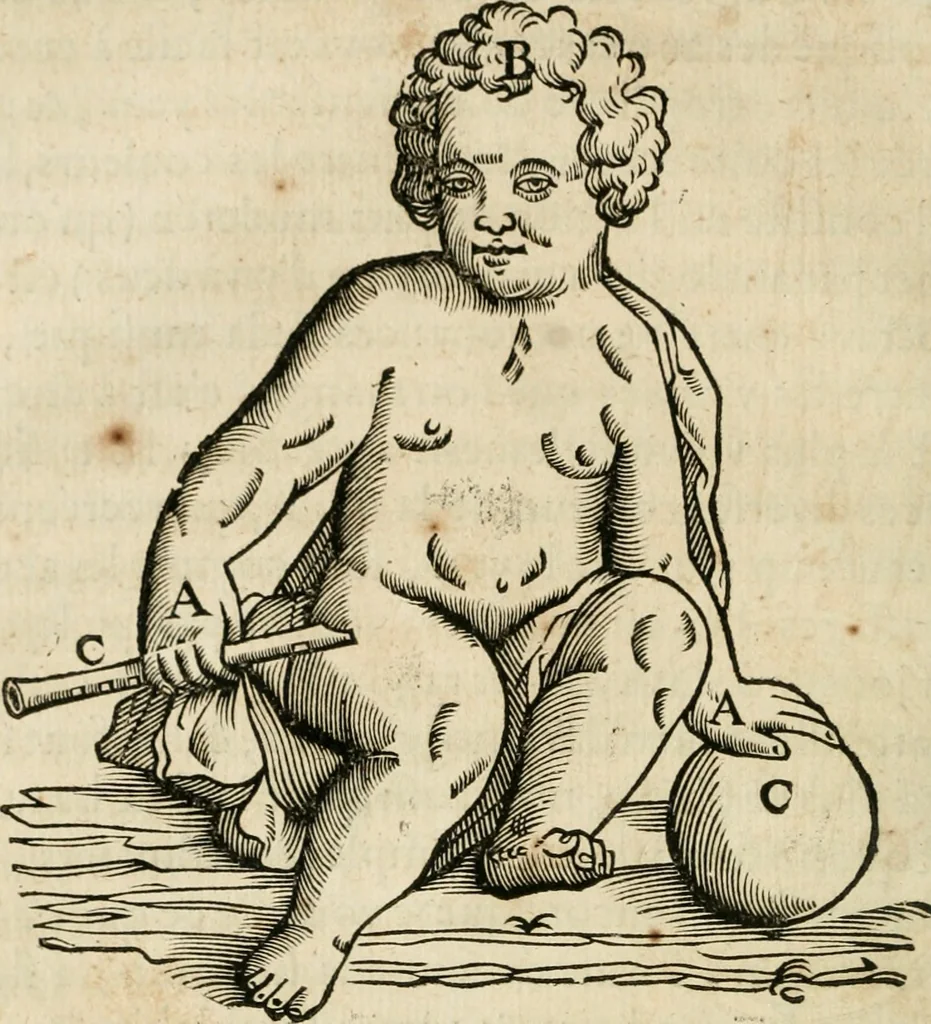 An illustration from L'homme, et la formation du foetus, 1677, leaf 113