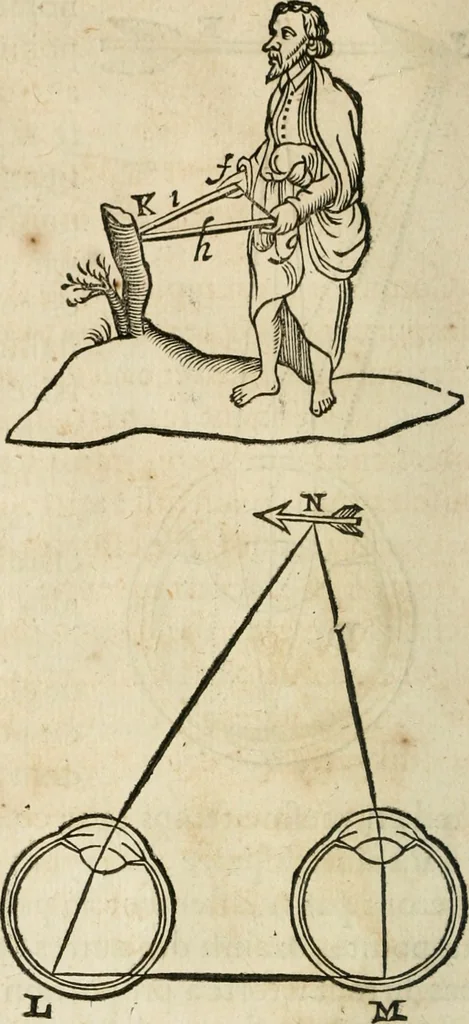 An illustration from L'homme, et la formation du foetus, 1677, leaf 115
