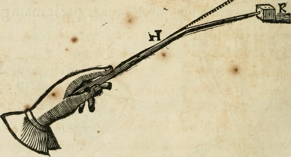 An illustration from L'homme, et la formation du foetus, 1677, leaf 117