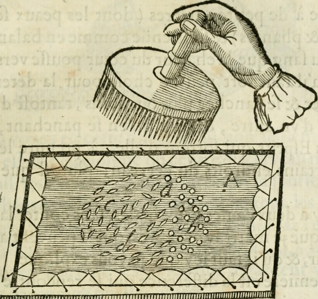 An illustration from L'homme, et la formation du foetus, 1677, leaf 138