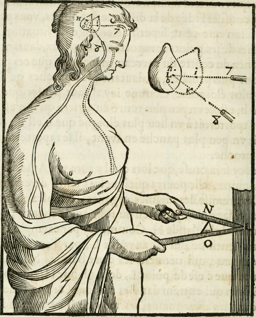 An illustration from L'homme, et la formation du foetus, 1677, leaf 145