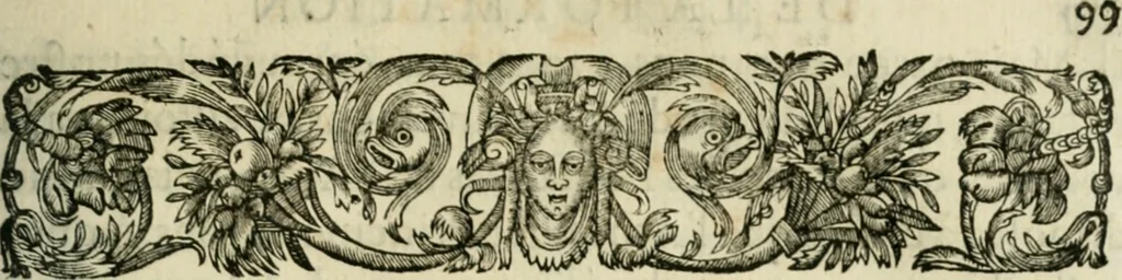 An illustration from L'homme, et la formation du foetus, 1677, leaf 168