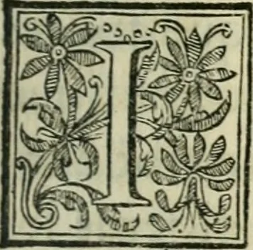 An illustration from L'homme, et la formation du foetus, 1677, leaf 168