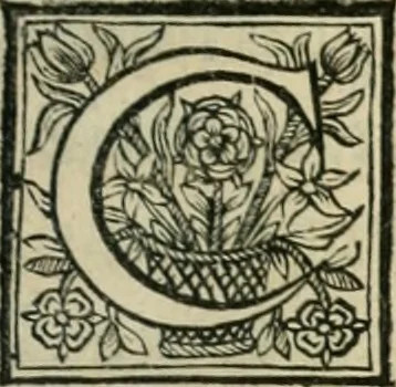 An illustration from L'homme, et la formation du foetus, 1677, leaf 438
