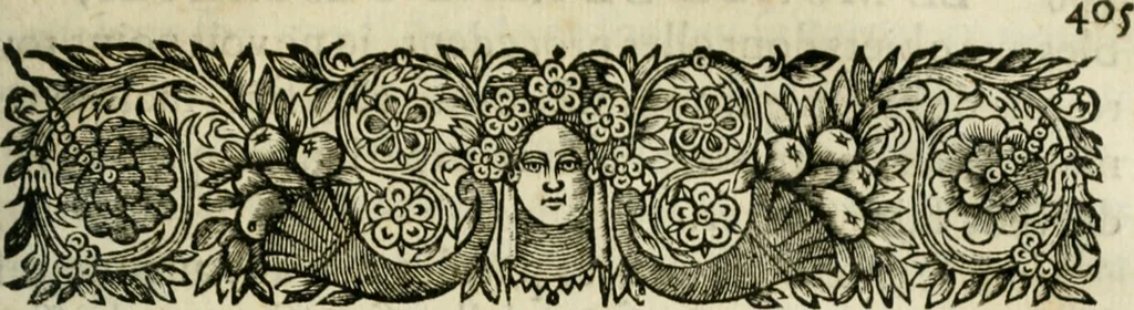 An illustration from L'homme, et la formation du foetus, 1677, leaf 474