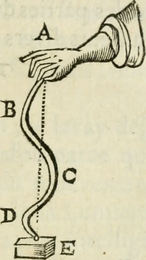 An illustration from L'homme, et la formation du foetus, 1677, leaf 562