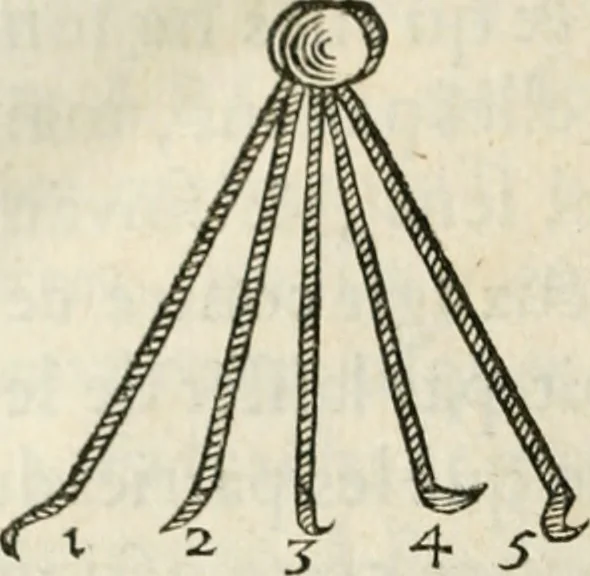 An illustration from L'homme, et la formation du foetus, 1677, leaf 563
