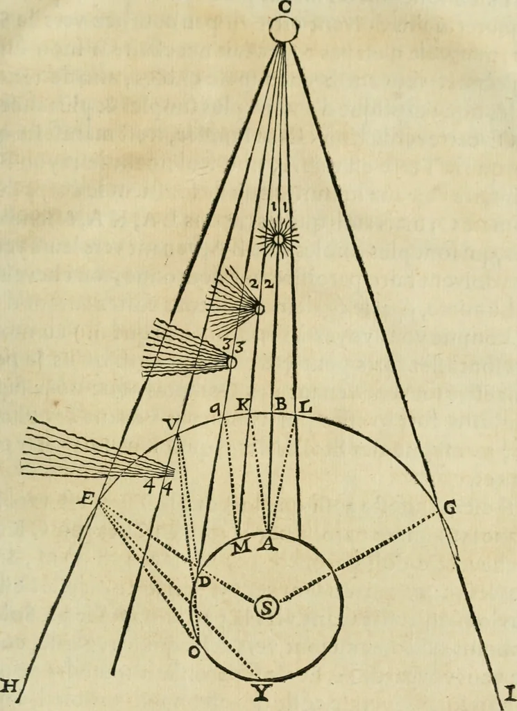 An illustration from L'homme, et la formation du foetus, 1677, leaf 576