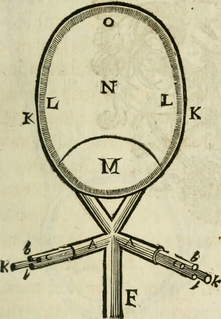 An illustration from L'homme, et la formation du foetus, 1677, leaf 82