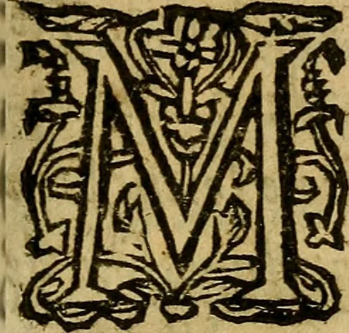 An illustration from L'honeste homme [!] : ov l'art de plaire à la covr., 1631, leaf 14