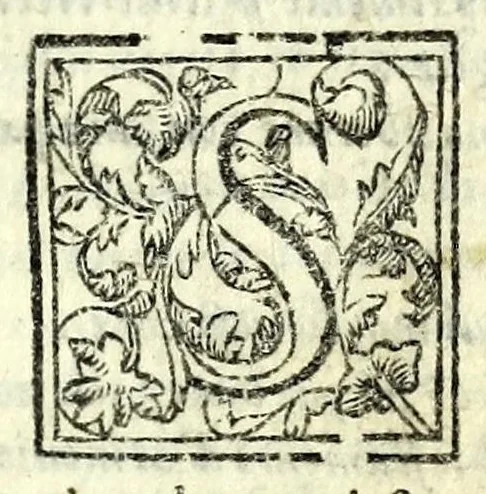 An illustration from L'Hortensio : comedia, 1586, leaf 15