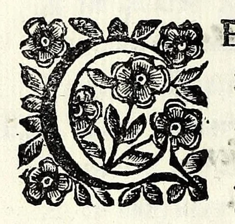 An illustration from L'horto dell' Esperidi : picciol drama in musica per introduzione ad vna festa da ballo in occasion delle nozze degl' illustrissimi ss. marchesi Annibale Romei e d' Ippolita Rondinelli : nel teatro del sig. marchese Pio Enea degl' Obizzi in Ferrara : dedicato alli sudetti sposi, 1667, leaf 26