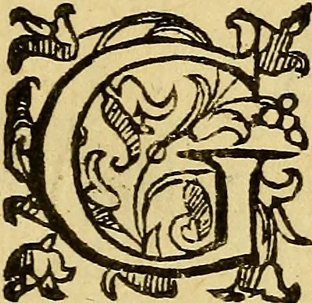 An illustration from L'hospidale de' pazzi incurabili, 1617, leaf 10