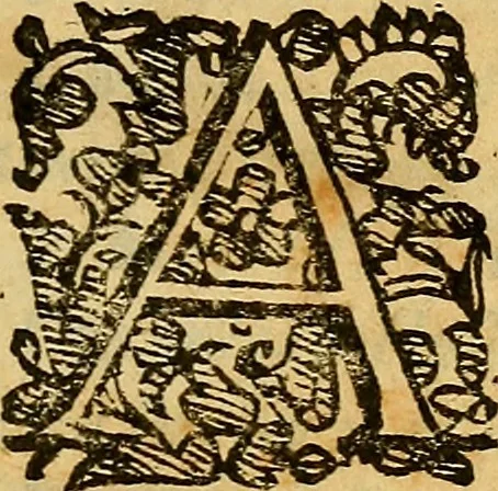 An illustration from L'hospidale de' pazzi incurabili, 1617, leaf 100