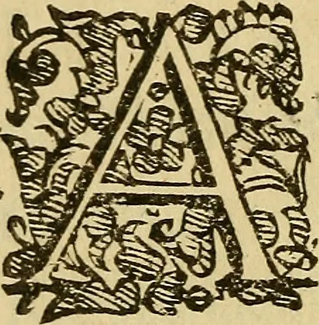 An illustration from L'hospidale de' pazzi incurabili, 1617, leaf 11
