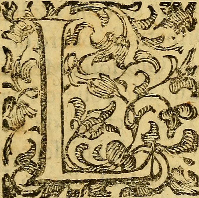 An illustration from L'hospidale de' pazzi incurabili, 1617, leaf 12