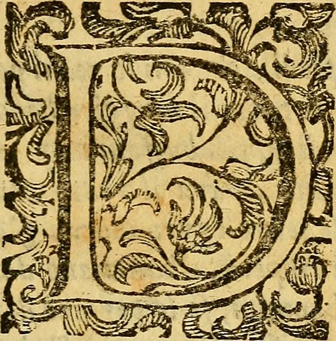 An illustration from L'hospidale de' pazzi incurabili, 1617, leaf 16