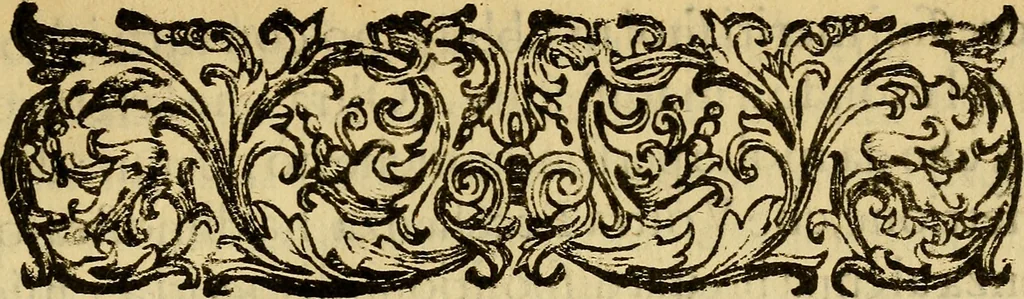 An illustration from L'hospidale de' pazzi incurabili, 1617, leaf 6