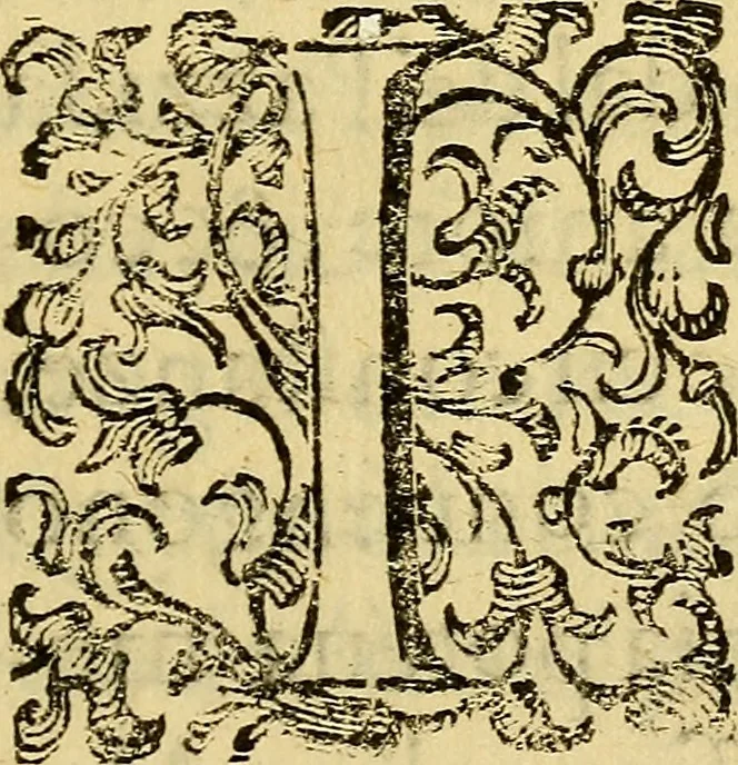 An illustration from L'hospidale de' pazzi incurabili, 1617, leaf 6
