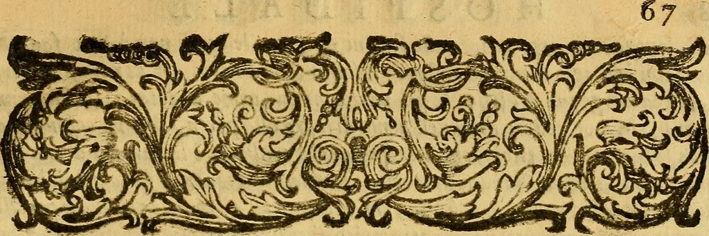 An illustration from L'hospidale de' pazzi incurabili, 1617, leaf 78
