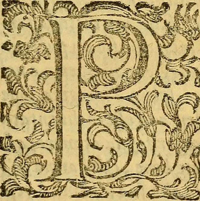 An illustration from L'hospidale de' pazzi incurabili, 1617, leaf 78