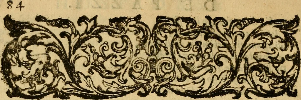 An illustration from L'hospidale de' pazzi incurabili, 1617, leaf 95