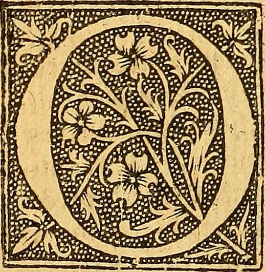 An illustration from L'Hystoire des devx nobles et tres vaillans chevaliers nommez Milles et Amys, : Lesquels en leur viuant furent plains de grandes proësses. Contenant plusieurs et diuerses matieres, comme vous pourrez veoir cy apres, 1611, leaf 107