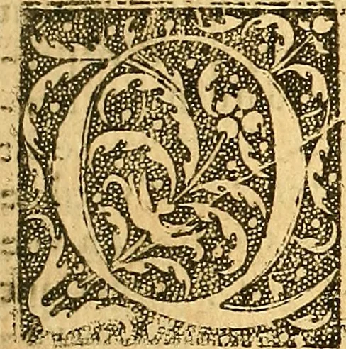 An illustration from L'Hystoire des devx nobles et tres vaillans chevaliers nommez Milles et Amys, : Lesquels en leur viuant furent plains de grandes proësses. Contenant plusieurs et diuerses matieres, comme vous pourrez veoir cy apres, 1611, leaf 110